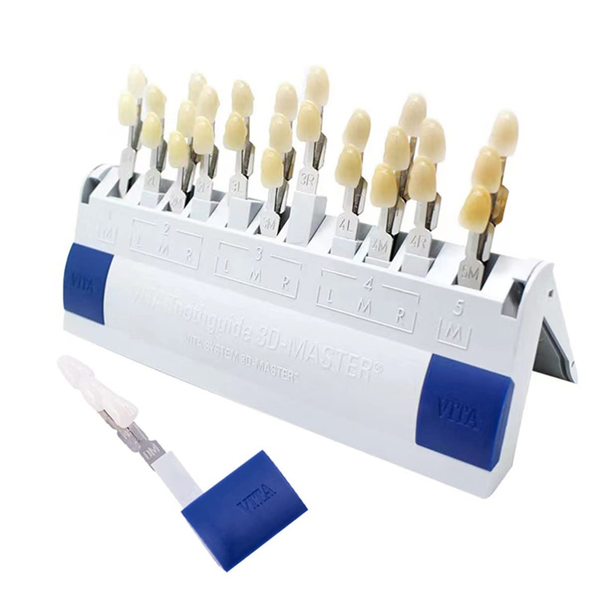 Clinique Dentaire 29 Couleurs Guide des Teintes pour le Blanchiment des Dents 3D Shades Teeth Bleach Guide des Teintes Dentaires