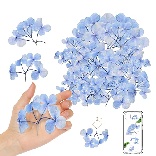 Flores Secas Prensadas Azules para Manualidades 42PCS miniatura 1