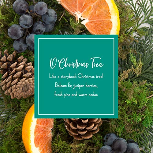 Scentsicles O Christmas Tree Bottle Bundle, Model:01631-001T #TOP3