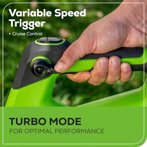 Image of Greenworks 48V Electric Leaf Blower, 585 CFM, (2) 4.0 Ah Batteries, Charger