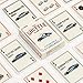 Shuffle Club Co Automobiles Playing Cards – Hand-Illustrated Global Car Deck | Supercars, Vintage Icons & Rally Legends | Premium Poker & Blackjack Cards – Made in the USA (Pack of 1)