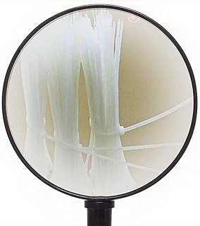 1000 Pcs White Electric Flexible Cable Fasten Tie 200mm x 3mm