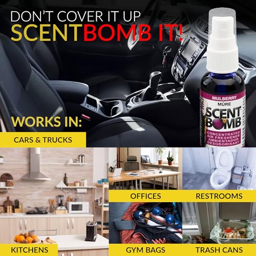 Image of Scent Bomb Air Freshener Spray, Long-Lasting Odor Eliminator - Effective Deodorizer for Home & Car, Fresh Room Spray for Kitchen, Bathroom & Smell Neutralizer - 1 oz Pack of 4, Mulberry Scent