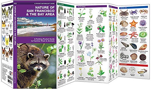 San Francisco & the Bay Area, Nature of: A Folding Pocket Guide to Familiar Plants & Animals (Nature Observation North America) - Image 2