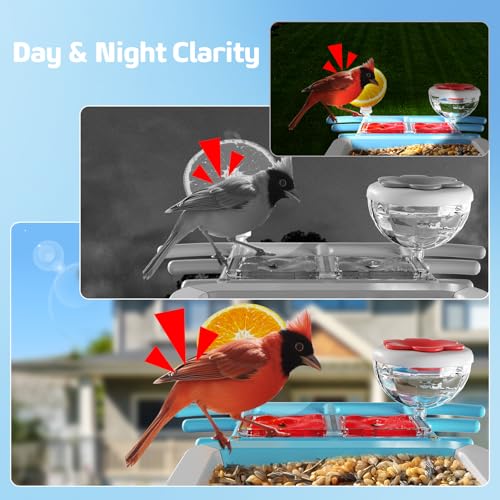 image for GAOYITK Bird Feeder with Camera 2K HD AI Smart Identify BirdSpecies So