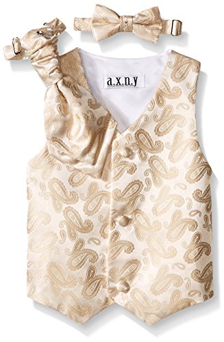 Image of a.x.n.y Boys' English Vest and Tie Set