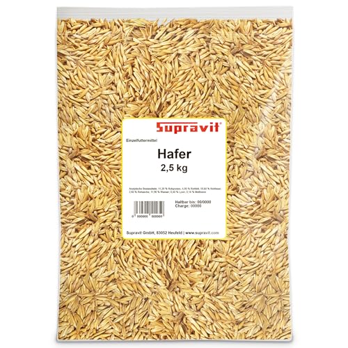 Supravit Hafer ganz 2,5kg | Frischer gelber Futterhafer I rein natürlich & ungeschält für Pferd und Pony | energiereich & leicht verdaulich I Staubfrei & Riecht gut