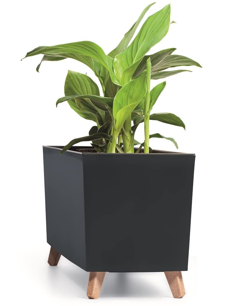 BirnePower Jardinière sur Pieds Urbi Case N avec Insert Amovible, Pot de Fleurs Rectangulaire 77cm pour Intérieur et Extérieur, Résistant au Gel et UV, Anthracite