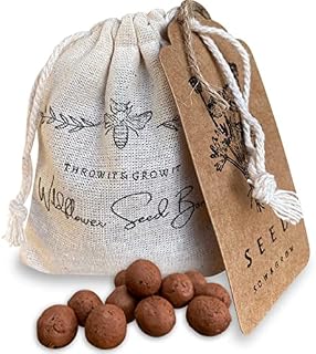 Handmade Wildflower seed bombs to attract bees & butterflies A colourful meadow that spreads over 20 square feet.