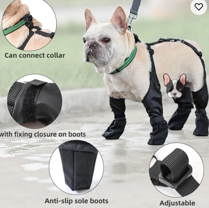 ペリ犬 Amazon | 【WonderPawz】 多頭飼いリード 絡まり防止