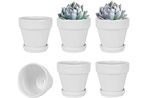 Minimalist White Ceramic Plant Pot with Drainage Hole 4 Inch