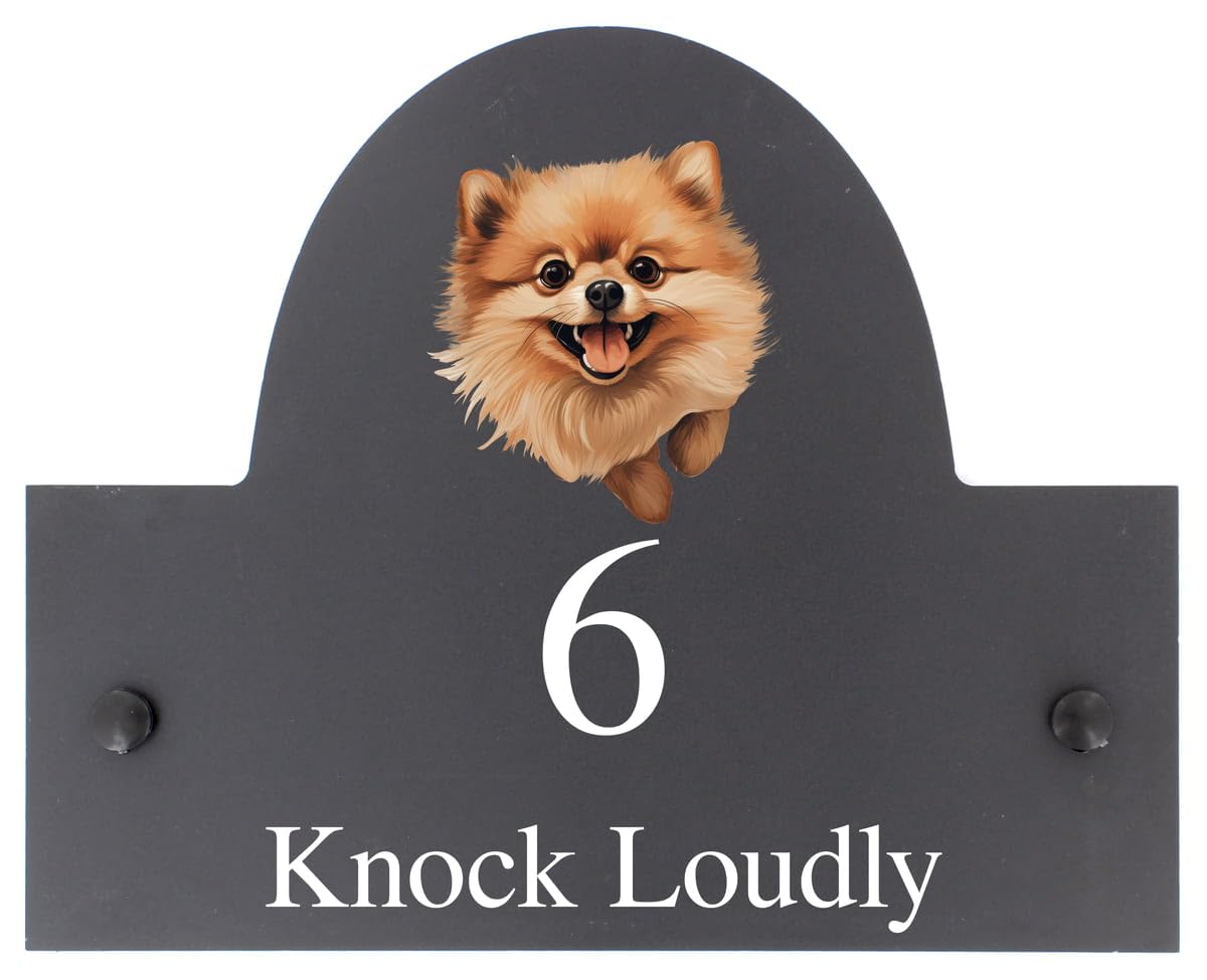 Targa personalizzabile con nome o numero civico in ardesia con cane Pomerania, 25 x 20 cm