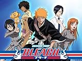 Bleach (English Dubbed) Season 26
