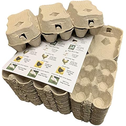 Anglia Farm Supplies 100 Cardboard egg boxes half dozen cartons for medium to large eggs with 24 labels Cover