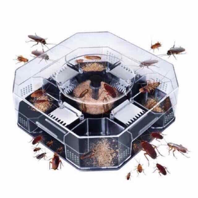 See full amazon price history chart for Sohansh Cockroach Trap Box – Highly Effective Roach Catcher, Reusable and Eco-Friendly Trap for Spiders and Ants – Eco-Friendly and Reusable Trap for Spiders and Ants Sohansh Cockroach Trap Box – Highly Effective Roach Catcher, Reusable and Eco-Friendly Trap for Spiders and Ants – Eco-Friendly and Reusable Trap for Spiders and Ants (B0DFYSQQZG) Amazon Price History, Amazon Price Tracker
