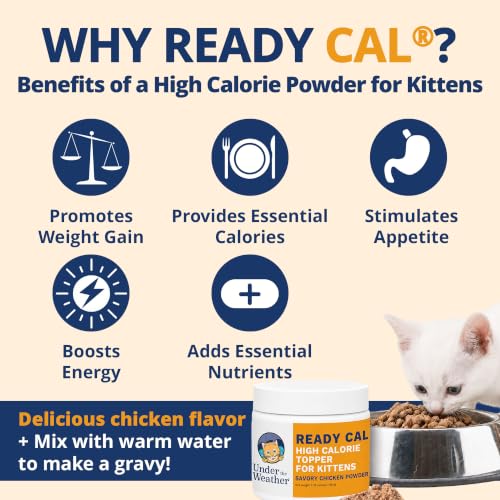 Image of Under The Weather Ready Cal High Calorie Powder for Kittens | Kitten Supplement & Weight Gainer | Appetite Support with Vitamins & Minerals | Veterinarian Formulated | Chicken Flavor