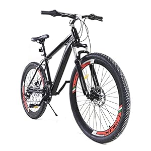 Stadfiets, hardtail, vorkvering, schijfremmen, 66 inch, 21 inch, aluminiumlegering, stadsfiets, dames, fiets, geschikt…
