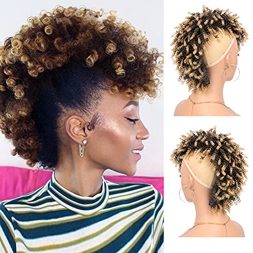 G&T Wig Afro High Puff Hair Bun with Bangs Kinky Curly Synthetic Fauxhawks Ponytail Hair Extension for Costume Cosplay Halloween Party Wig(1/27)