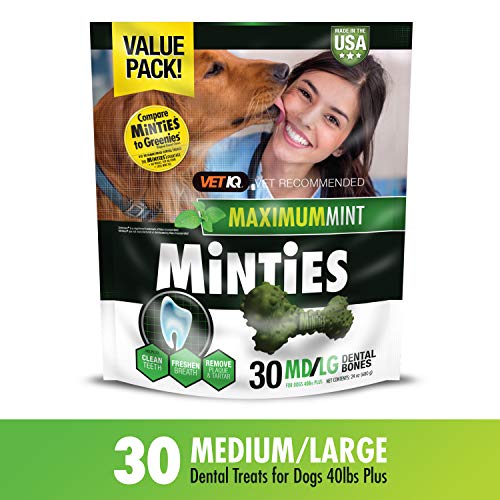 Vetiq Minties Dog Dental Bone Treats, Dental Treats For Dogs, Medium/Large, 24Oz