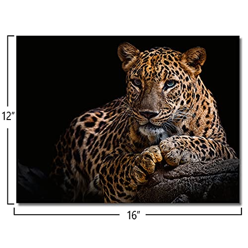 Leopard Canvas Prints Black Background Golden Wildlife Animal Leopard Wall Art Cheetah Pictures Artwork For Bathroom Bedroom Office Living Room Hallway Paintings Decorations Ready To Hang 12X16" #TOP1