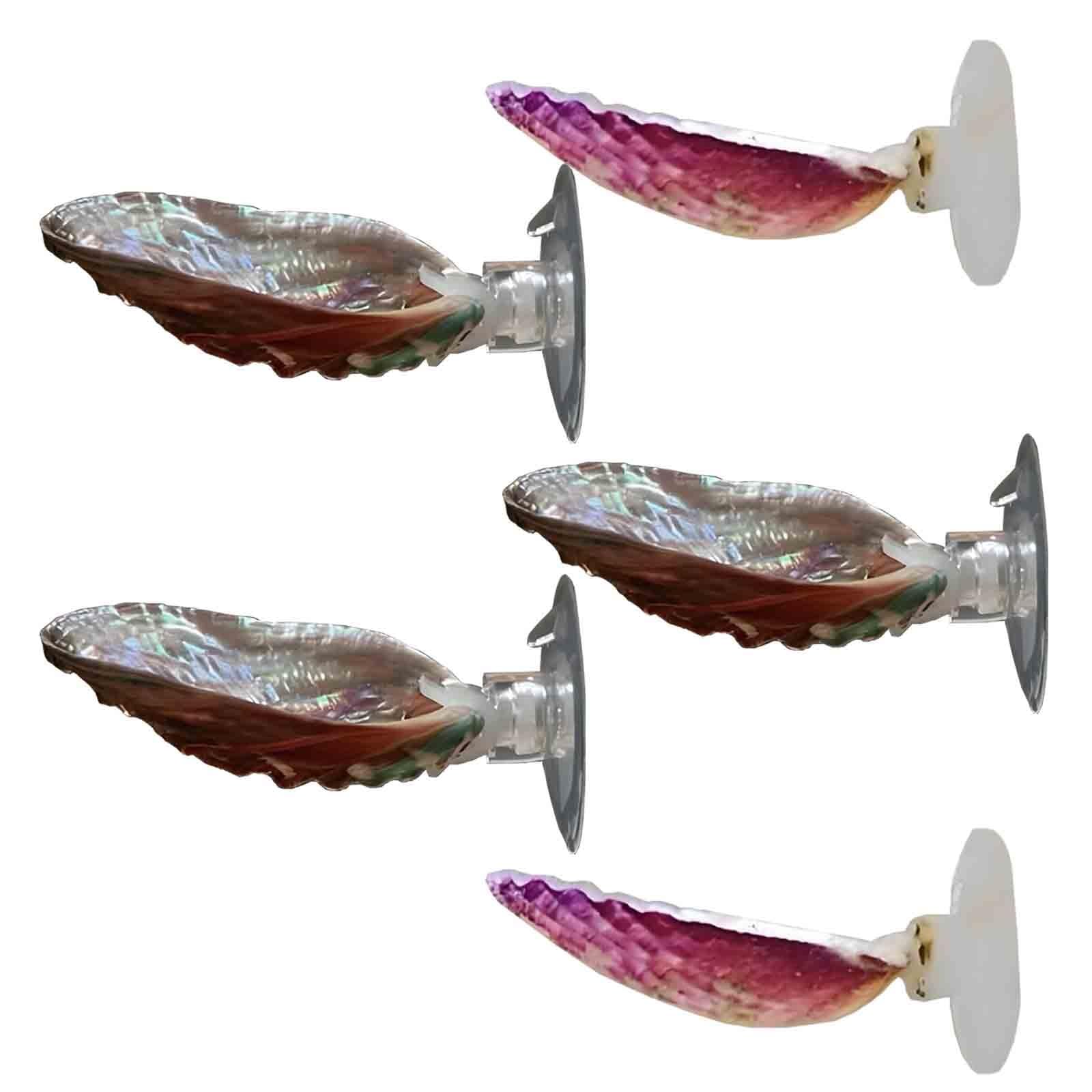 HAJHI Natural Scallops Betta Fish Tank Decor Suction Cups Betta Hammock Comfortable Resting Area Betta Bed for Sleeping Hiding Playing(Mixed - 5 pcs - A)