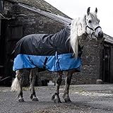 eQuitack Your Passion Is Our Mission