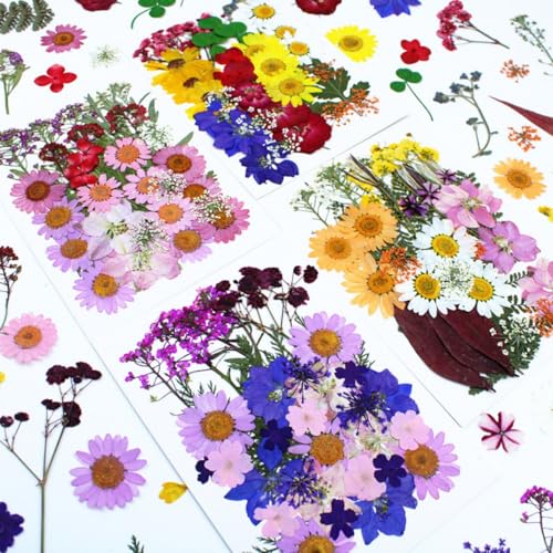 140 unidades flores prensadas naturales para manualidades miniatura 4