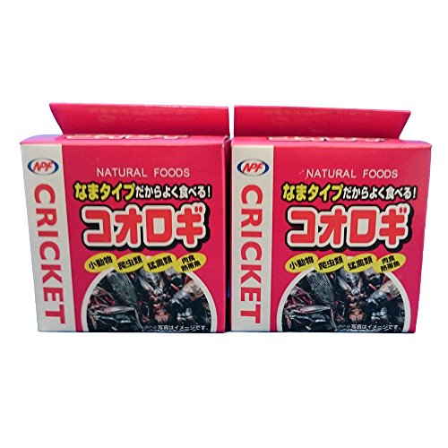 NPF　コオロギ40g　（コオロギ缶）×2個セット