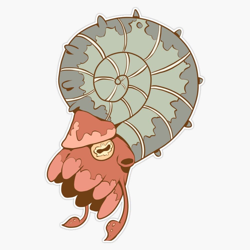 - Ammonite Sticker Decal Size 5"