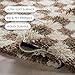 nuLOOM Adelaide Checkered 5x8 Shag Area Rug for Living Room Bedroom Dining Room Nursery, Beige/Brown