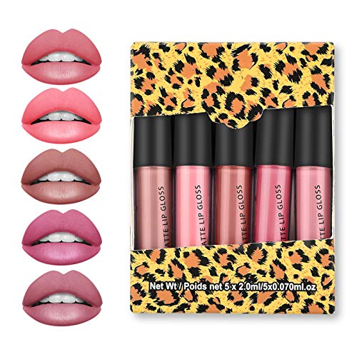 Ownest 5 Colors Matte Mist Lipstick Set,Mini Matte Lip Gloss Velvet Nude Lip Glaze Lip Gloss Liquid Long-Lasting Waterproof Non-Stick Cup,Matte Lip Makeup for Women-Set A