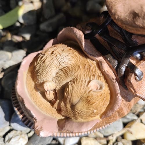 Souris récoltée pot de fleurs décoration jardin extérieure intérieure