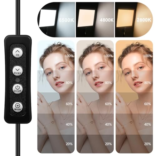 Lumière Photo et Vidéo LED Multimédia Dimmable avec Trépied de Table USB - 3