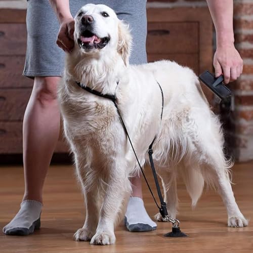 Corda de banho para cães com ventosa, alça de limpeza para cães de estimação com ventosa | Supriment