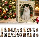 2D Acrylic Cat Themed Funny Calendar, Advent Calendars 2025, 24 Days Christmas Countdown Calendar, For Girls Boys Kids Teen Women Men Activities Festival Home Party Holiday