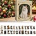 Christmas Calendar Countdown - Cute Cat Calendar, 24 Boxes for Holiday Decorating, Acrylic Artistic Ornament, Festive Calendars Set with Reusable Design, Fun Activity for All Ages