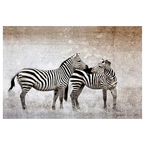 Poster Zebra Love 91 x 61 cm impression haute définition salon