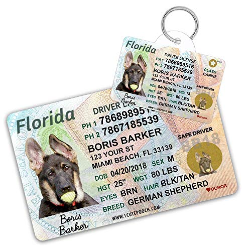 driver's license pet id tags