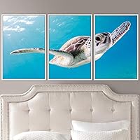 3 Piece Framed Canvas Wall Art Turtle Under The Surface Canvas Prints Home Artwork Decoration for Living Room,Bedroom - 16