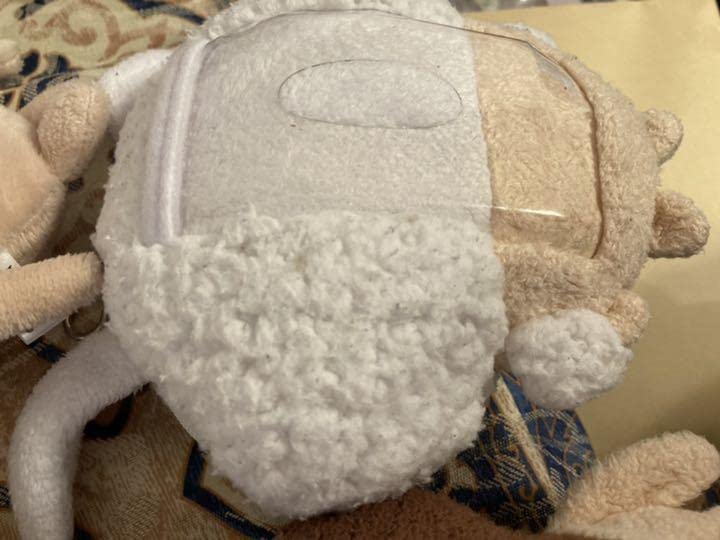 なめこ ぬいぐるみ なめこのぬいぐるみ 45cm｜なめこぱらだいす☆なめこ公式サイト