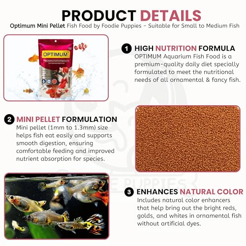 Image of Foodie Puppies Optimum Fish Food - 200gm (Mini Pellet) | Highly Digestible & Added with Fish Meal & Corn Protein Meal | Highly Nutritious Fish Food for All Aquarium Fish with Free Key Ring