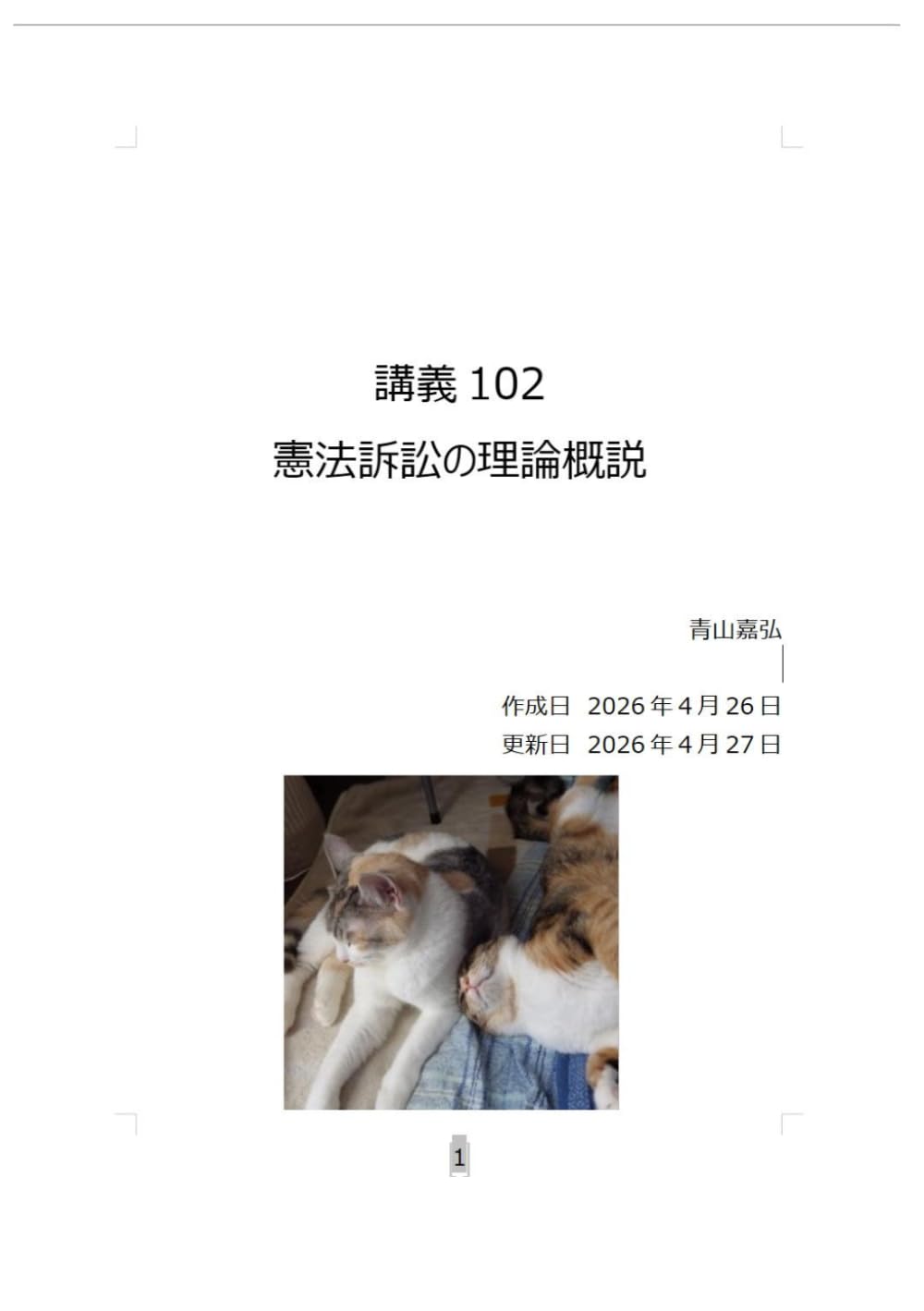 憲法訴訟の理論概説 (講義)