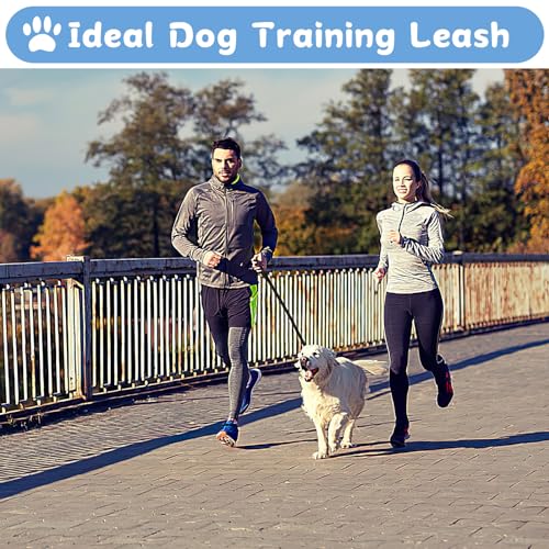 Schleppleine 10m für Hunde,Lange Hundeleine für Training und Outdoor,Ausbildungsleine für Kleine bis Große Hunde,Robuste Nylon Hundeleine mit Handschlaufe und D-Karabiner (Schwarz)