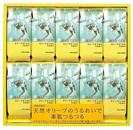 貴重　資生堂の非売本セット ベーシック10本セット – 白鳳堂 - 公式オンラインショップ