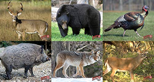 Duramesh Archery Targets Eastern Target Series, 6 Pack DM-East