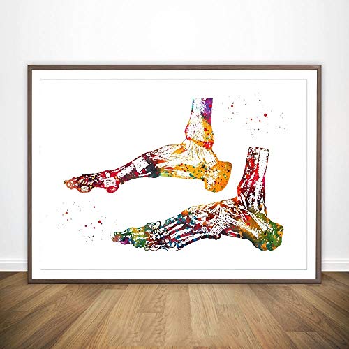 Os du Pied Quatre Types de Muscles Neurones Main vaisseaux sanguins du Corps Humain et la Science médicale Anatomical Poster Accueil Décor du No Frame Suspendu Peintures Haute qualité