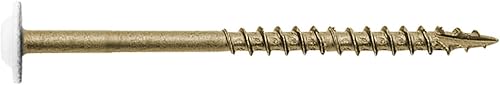 Miniatura 5 de #8 x 2-12" Cabeza de armadura blanca modificada con revestimiento exterior de estrella de bronce  Tornillo de madera de gabinete Torxcabeza de
