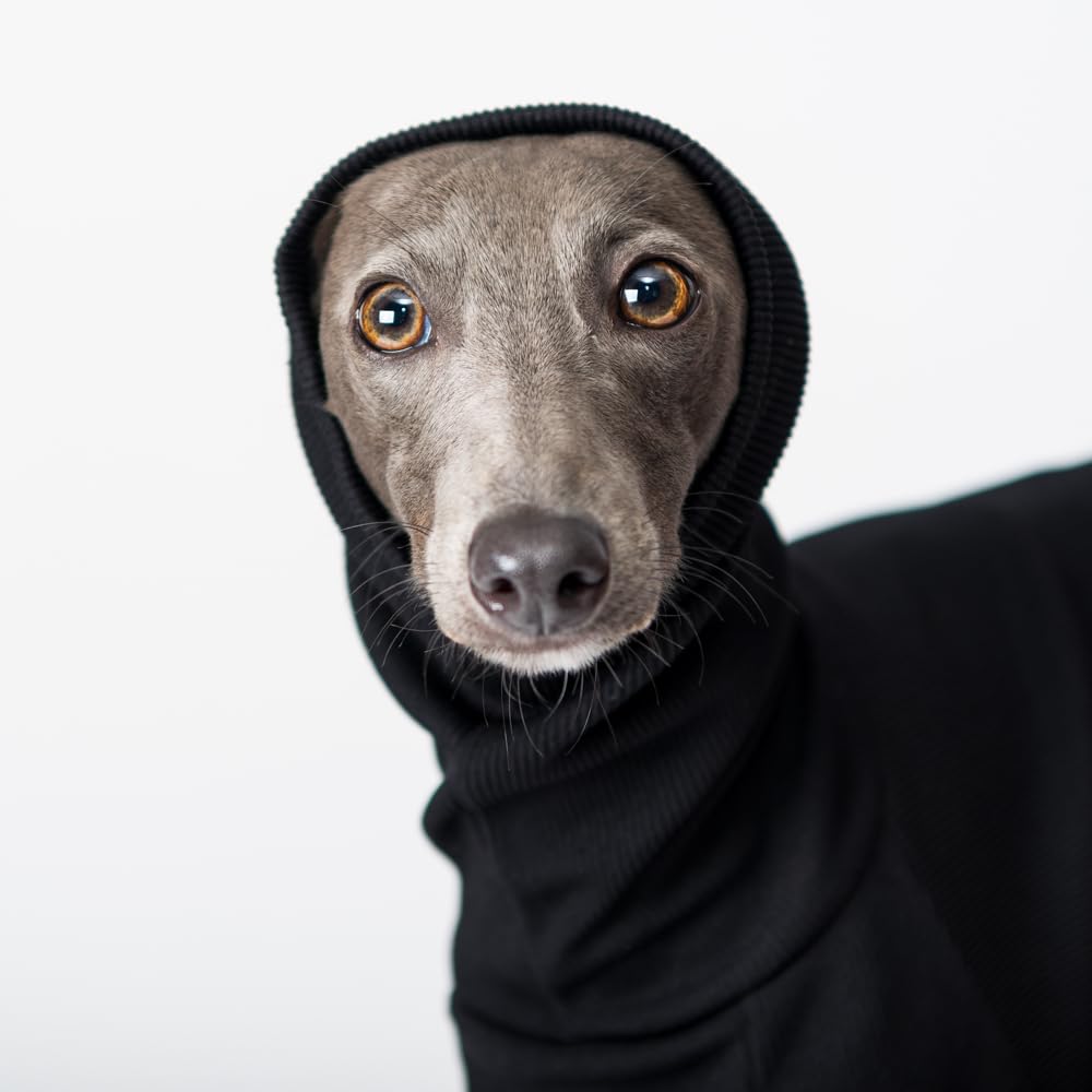 Thermo-Hundepullover für italienische Windhunde, Rollkragen, schmale Passform, weicher Stretch-Pullover für kleine Hunde (M)
