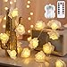 echosari [Updated Version] Battery Operated 15 ft 30 LED White Rose Flower Fairy String Lights with Remote for Valentine's, Wedding, Bedroom, Indoor Decoration (Dimmable, Timer, 8 Modes, Warm White)