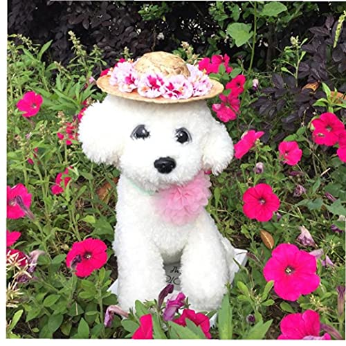 Haustier Hund Strohhut Frühling, Sommer, Sonnenhut Netter Woven Strohhut Kostüm Zubehör
